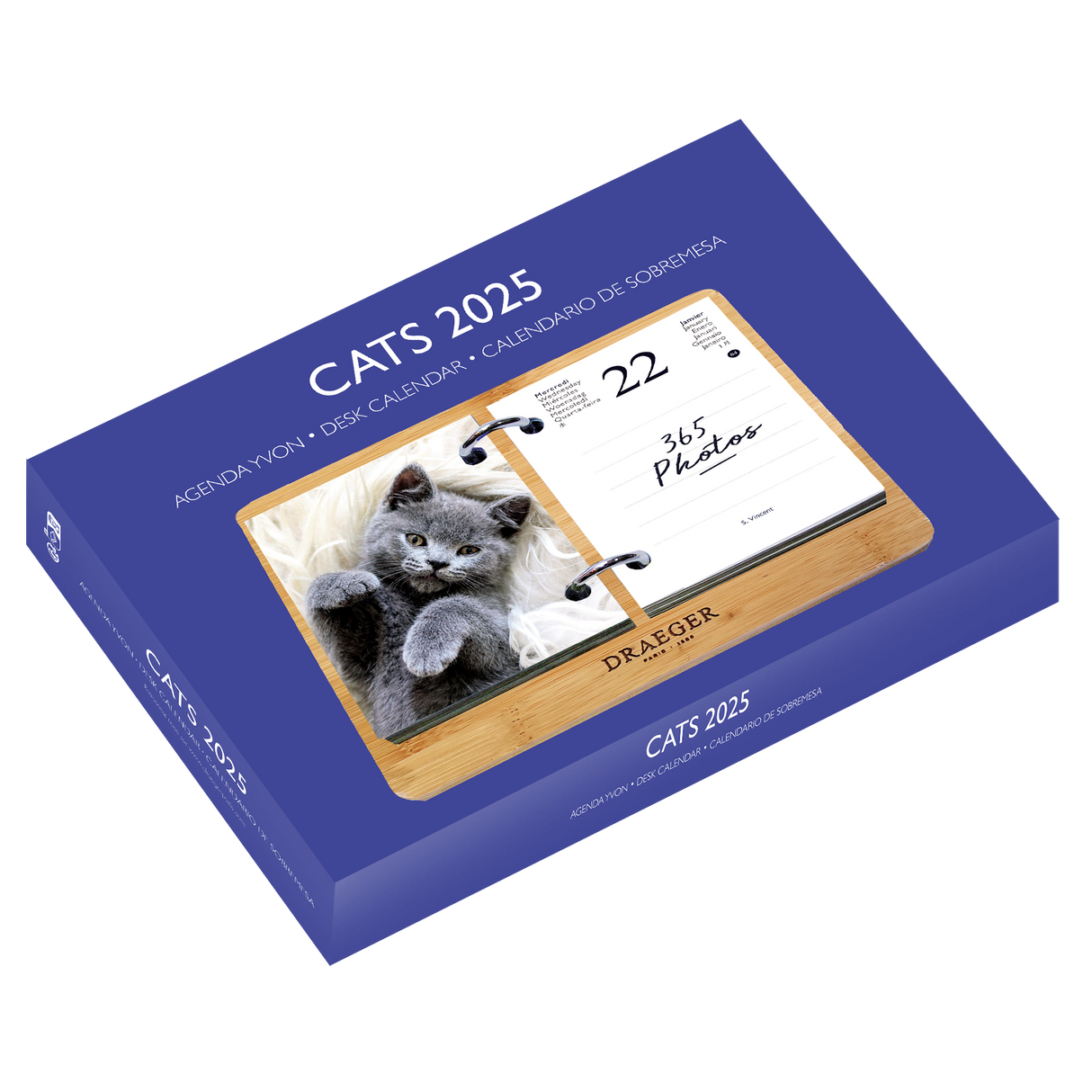 Coffret éphéméride Agenda Yvon 2025 - Edition Chat