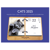 Coffret éphéméride Agenda Yvon 2025 - Edition Chat