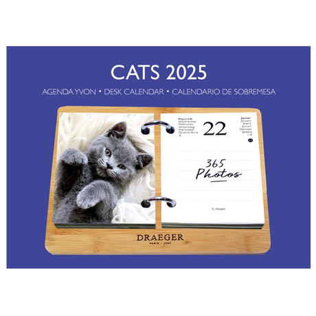 Coffret éphéméride Agenda Yvon 2025 - Edition Chat