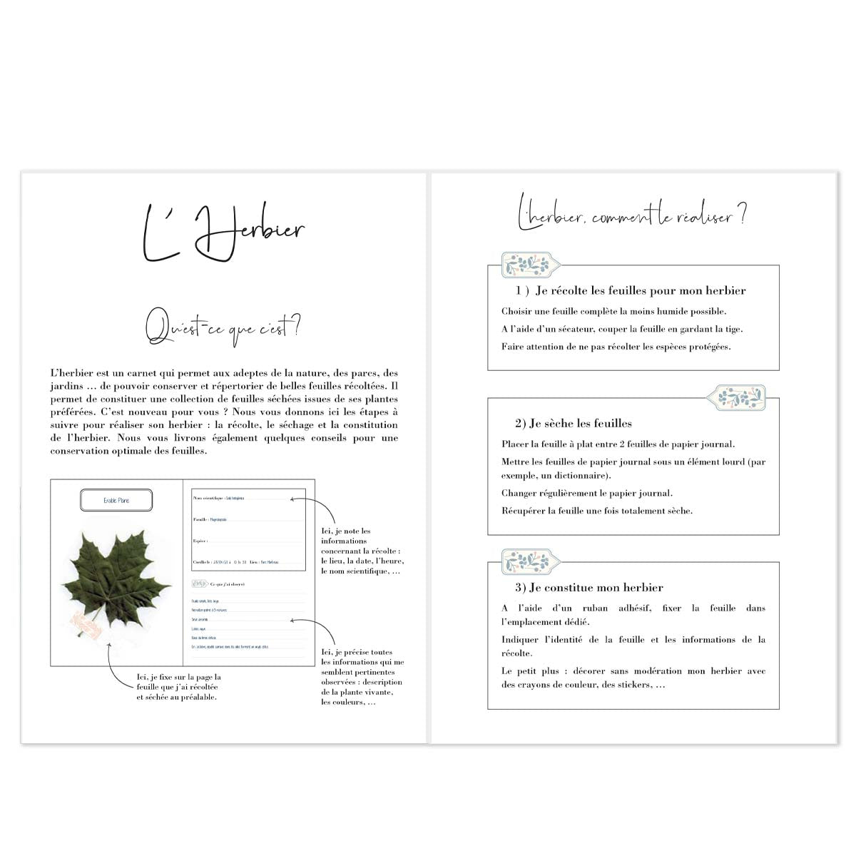 Carnet herbier A5