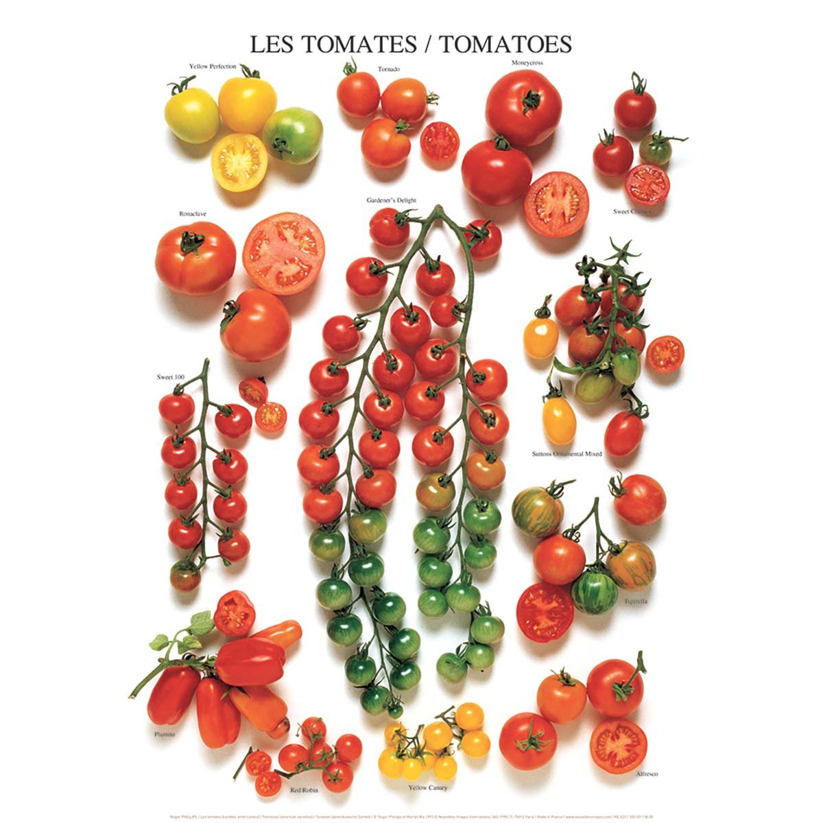 Les tomates (variétés américaines)